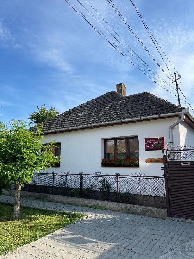Gyongyver Panzio Sfântu-Gheorghe Esterno foto